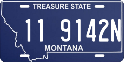 MT license plate 119142N