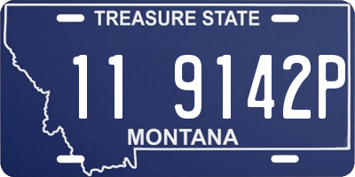 MT license plate 119142P