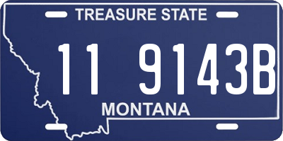 MT license plate 119143B