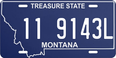 MT license plate 119143L