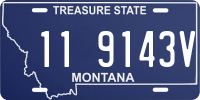 MT license plate 119143V