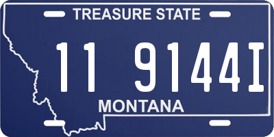 MT license plate 119144I