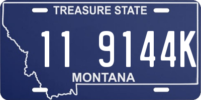 MT license plate 119144K