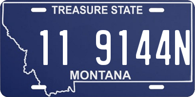 MT license plate 119144N