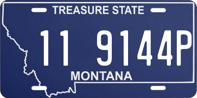MT license plate 119144P