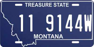 MT license plate 119144W