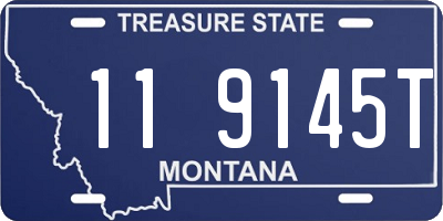 MT license plate 119145T