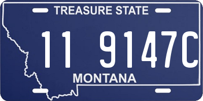 MT license plate 119147C