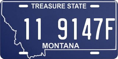 MT license plate 119147F