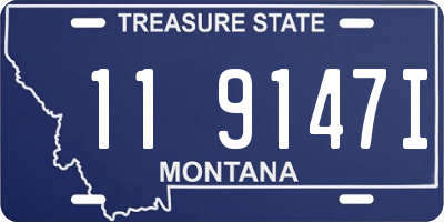 MT license plate 119147I