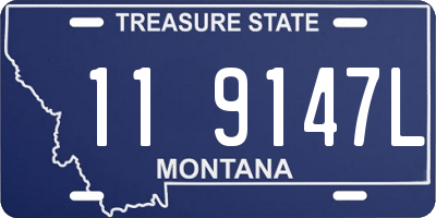 MT license plate 119147L
