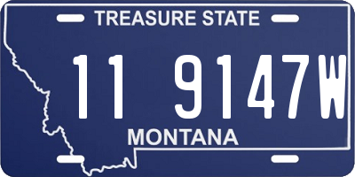MT license plate 119147W