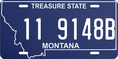 MT license plate 119148B