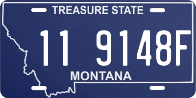 MT license plate 119148F