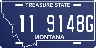 MT license plate 119148G