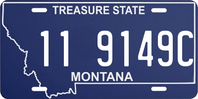 MT license plate 119149C