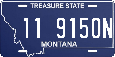 MT license plate 119150N