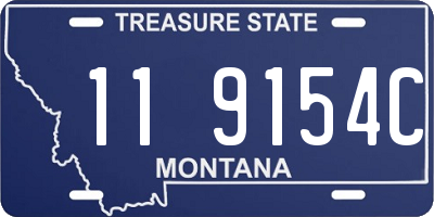 MT license plate 119154C
