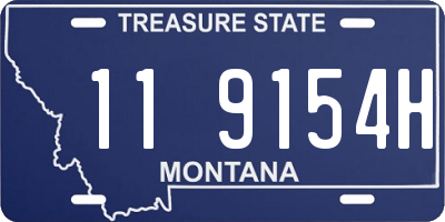 MT license plate 119154H