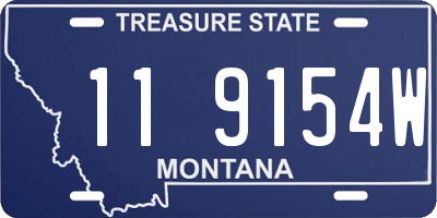 MT license plate 119154W