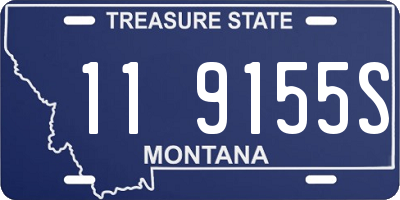 MT license plate 119155S