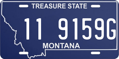 MT license plate 119159G