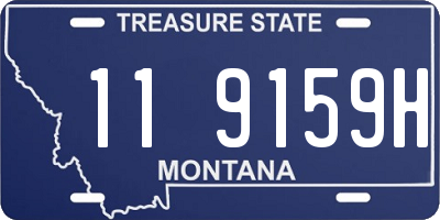 MT license plate 119159H