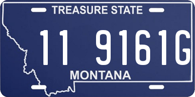 MT license plate 119161G
