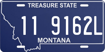 MT license plate 119162L