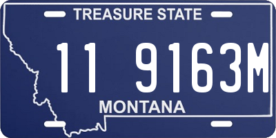 MT license plate 119163M