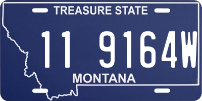 MT license plate 119164W