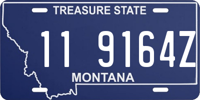 MT license plate 119164Z