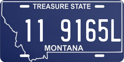 MT license plate 119165L