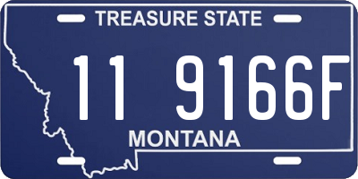 MT license plate 119166F