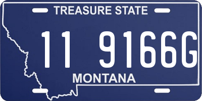MT license plate 119166G