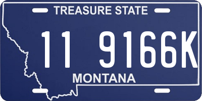 MT license plate 119166K