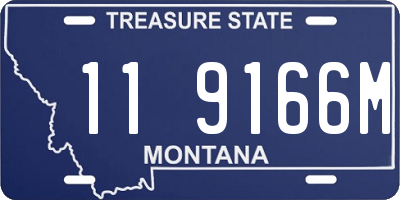 MT license plate 119166M