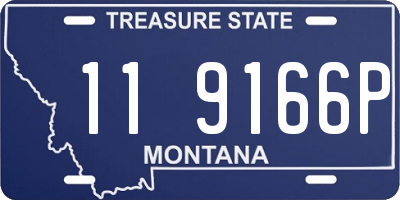 MT license plate 119166P