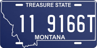 MT license plate 119166T