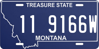 MT license plate 119166W