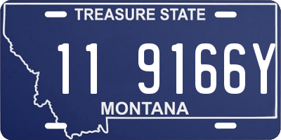 MT license plate 119166Y