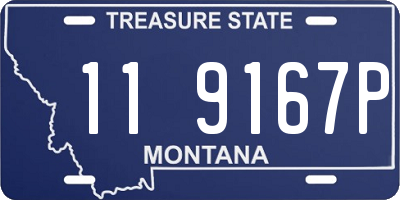 MT license plate 119167P