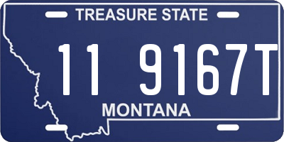 MT license plate 119167T