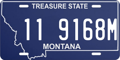 MT license plate 119168M