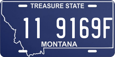 MT license plate 119169F