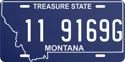 MT license plate 119169G