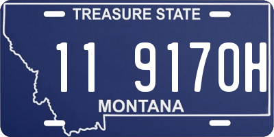 MT license plate 119170H