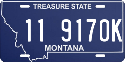 MT license plate 119170K