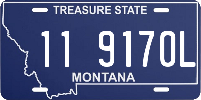 MT license plate 119170L