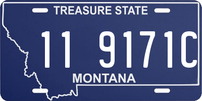 MT license plate 119171C